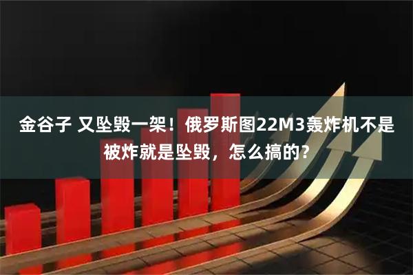 金谷子 又坠毁一架！俄罗斯图22M3轰炸机不是被炸就是坠毁，怎么搞的？