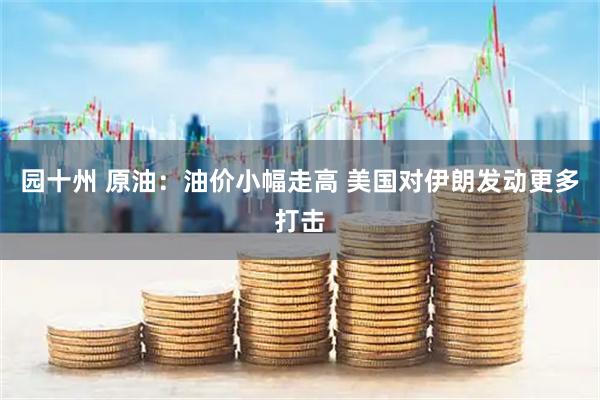 园十州 原油：油价小幅走高 美国对伊朗发动更多打击